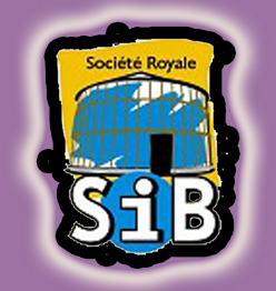 SIB